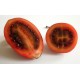Semillas de Tomate de Árbol Tamarillo